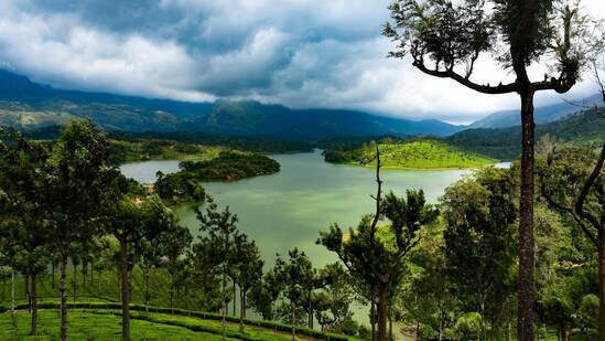 Munnar, Kerala: A hill station located in the Western Ghats of Kerala, Munnar is known for its rolling hills, tea plantations, and stunning landscapes. The place is also home to several wildlife sanctuaries and national parks, making it a popular destination for nature lovers.&nbsp;(Unsplash)