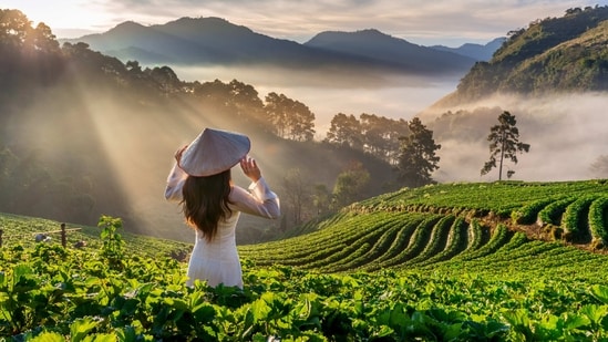 India is a land of diverse landscapes and cultures, and it's no surprise that it's also home to some truly magical and fairytale-like places. Here are a few examples:&nbsp;(Unsplash)