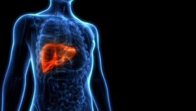 Autoimmune liver disease: Warning signs, lifestyle changes, treatment (Twitter/This_Life_Mag) Autoimmune liver disease: Warning signs, lifestyle changes, treatment (Twitter/This_Life_Mag)