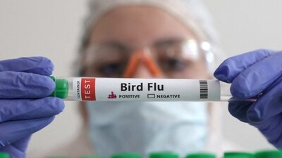 Experts have been tracking H5N1 clade 2.3.4.4b since it emerged in 2020. (File/Reuters) Experts have been tracking H5N1 clade 2.3.4.4b since it emerged in 2020. (File/Reuters)