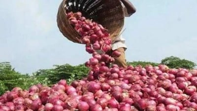 The farmer earned ₹512 from the sale of his entire crop but the APMC trader deducted ₹509.50 as transportation charges. (Representative image) The farmer earned ₹512 from the sale of his entire crop but the APMC trader deducted ₹509.50 as transportation charges. (Representative image)