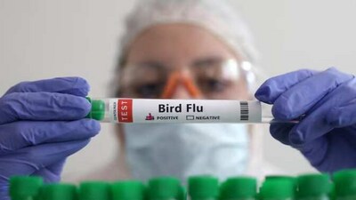 The experts discuss the risk of animal viruses spilling over to humans and causing a pandemic. (Representative image)