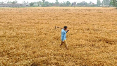 While it is not yet a given, it increasingly looks like large parts of India are going to face a second consecutive year when summer will arrive early. (HT File Photo) While it is not yet a given, it increasingly looks like large parts of India are going to face a second consecutive year when summer will arrive early. (HT File Photo)