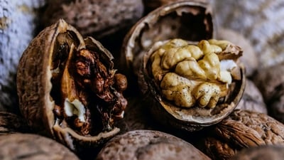 Foods that are difficult to chew: If the dog bite is located in the mouth or on the face, it is best to avoid hard or difficult-to-chew foods that may aggravate the wound. (Unsplash)