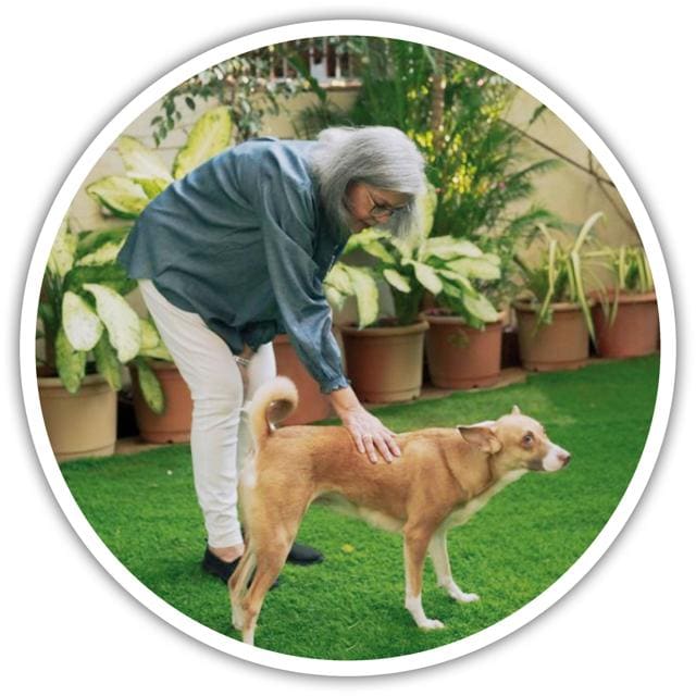 Another fiercely private celebrity, Zeenat Aman signed up to Instagram a few weeks ago, sharing pictures with her dog Lily. (@THEZEENATAMAN) Another fiercely private celebrity, Zeenat Aman signed up to Instagram a few weeks ago, sharing pictures with her dog Lily. (@THEZEENATAMAN)