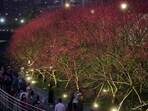 Visitors take pictures of cherry blossoms, lit up at night, at Lohas Park in Taipei, Taiwan.