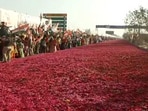 Screengrab of video shows flower petals arranged on the road for the grand welcome of the leaders.