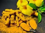 Did you know Meghalaya is home to the best turmeric in the world. Lakadong turmeric, is a variety of turmeric that is found in the Jaintia Hills district of Meghalaya, India. It is known as the world's best turmeric due to its high curcumin content, which is the compound responsible for the bright yellow color of turmeric and its various health benefits. Here are some key facts about lakadong turmeric.&nbsp;