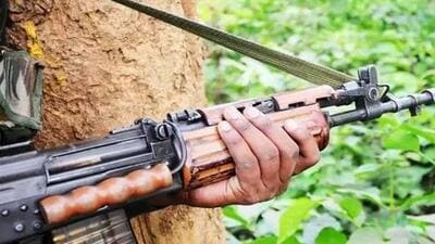 A combing operation in nearby jungles in the area has been launched by the police (Representative Photo)