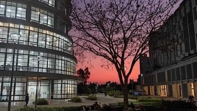 Student dies at Bengaluru's Azim Premji University after ending hunger strike (Twitter) Student dies at Bengaluru's Azim Premji University after ending hunger strike (Twitter)