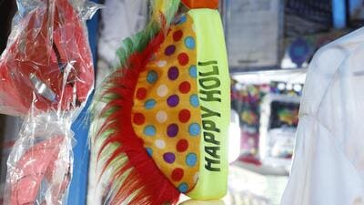 Holi, the festival falls on March 8 this year. (HT File) Holi, the festival falls on March 8 this year. (HT File)
