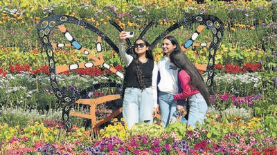Visitors posing for pictures on the first day of the 12th Panjab University Rose Festival on the varsity campus in Chandigarh. (Ravi Kumar/HT) Visitors posing for pictures on the first day of the 12th Panjab University Rose Festival on the varsity campus in Chandigarh. (Ravi Kumar/HT)