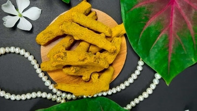 Culinary uses: Lakadong turmeric is commonly used in Indian and Southeast Asian cuisine, particularly in curries, stews, and rice dishes. It has a slightly earthy, peppery flavour that is distinct from regular turmeric. (Representative Image (Unsplash)) Culinary uses: Lakadong turmeric is commonly used in Indian and Southeast Asian cuisine, particularly in curries, stews, and rice dishes. It has a slightly earthy, peppery flavour that is distinct from regular turmeric. (Representative Image (Unsplash))