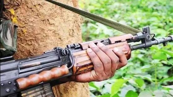 A combing operation in nearby jungles in the area has been launched by the police (Representative Photo)