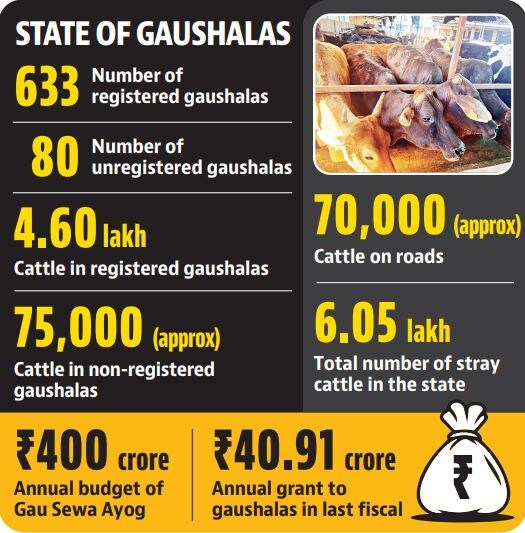 The Haryana Gau Sewa Ayog allocated a total of ₹25.92 crore to 562 gaushalas of the state which comes to around ₹4.61 lakh per gaushala (HT) The Haryana Gau Sewa Ayog allocated a total of ₹25.92 crore to 562 gaushalas of the state which comes to around ₹4.61 lakh per gaushala (HT)