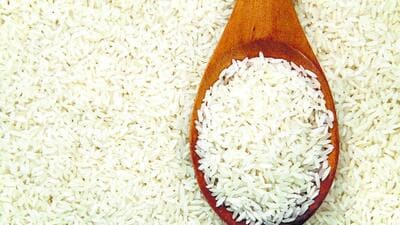 Custom milled rice is manufactured by milling paddy that the state government procures at the minimum support price (MSP) from farmers. (REPRESENTATIVE IMAGE) Custom milled rice is manufactured by milling paddy that the state government procures at the minimum support price (MSP) from farmers. (REPRESENTATIVE IMAGE)