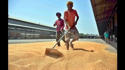Farmers of the state can avail the subsidy by applying online on the department’s website agrimachinerypb.com by February 29 for availing the subsidy individually and to set up custom hiring centres. (HT File Photo) Farmers of the state can avail the subsidy by applying online on the department’s website agrimachinerypb.com by February 29 for availing the subsidy individually and to set up custom hiring centres. (HT File Photo)
