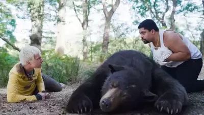 The film is based on the true story of a black bear that overdosed on cocaine in Tennessee in 1985, and the scriptwriter Jimmy Warden’s take on the incident is anything but mundane. (Universal)