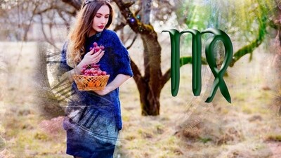 Virgo Daily Horoscope Today for February 27, 2023: Take that family trip you've been meaning to take. Virgo Daily Horoscope Today for February 27, 2023: Take that family trip you've been meaning to take.