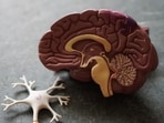Brain disorders and human cognition: An insight