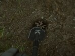Guide to finding shovel in Sons of the Forest Guide to finding shovel in Sons of the Forest