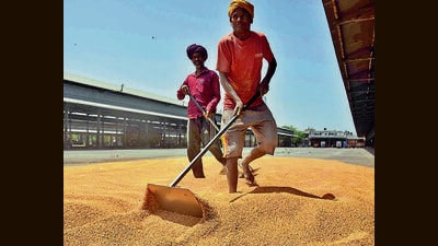 Submitting 39 points for resolving at the government level, the BKU leaders said that due to lack of will power of the previous dispensations, the state is facing a agrarian crisis. (HT File Photo) Submitting 39 points for resolving at the government level, the BKU leaders said that due to lack of will power of the previous dispensations, the state is facing a agrarian crisis. (HT File Photo)