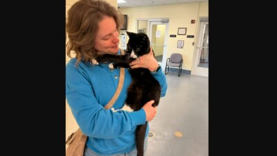 The image shows the pet mom with her cat. (Instagram/@henricopolice)