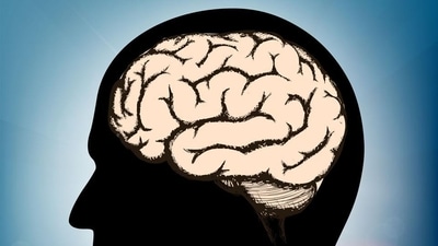 Head injuries could be risk factor for developing brain cancer (Shutterstock) Head injuries could be risk factor for developing brain cancer (Shutterstock)