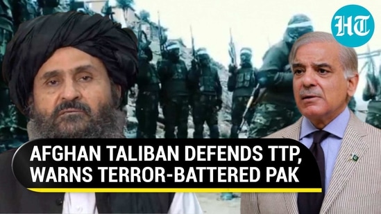 How Taliban warned Pak of America's fate as Sharif govt seeks help to tackle TTP