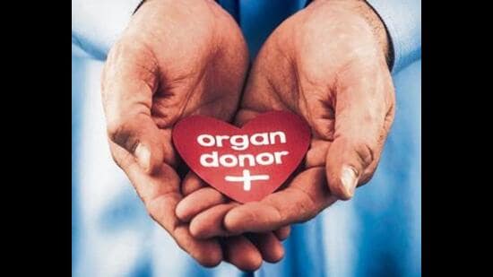 PGI urology department is set to start preforming kidney transplants. (HT File)