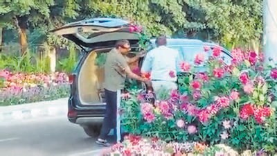 A screengrab of a clip shows two men stealing flowerpots. (HT PHOTO) A screengrab of a clip shows two men stealing flowerpots. (HT PHOTO)
