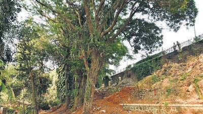 Mumbai, India - February 28, 2023: Plot at Malabar Hill, next to Hanging Gardens, in Mumbai, India, on Tuesday, February 28, 2023. (Photo by Bhushan Koyande/HT Photo) (HT PHOTO) Mumbai, India - February 28, 2023: Plot at Malabar Hill, next to Hanging Gardens, in Mumbai, India, on Tuesday, February 28, 2023. (Photo by Bhushan Koyande/HT Photo) (HT PHOTO)