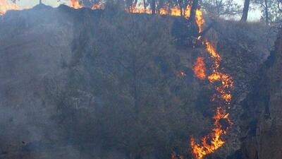 The forest watcher accidentally touched an electric live wire while extinguishing fire in Yallapura forest range of Uttara Kannada district (HT Archives) The forest watcher accidentally touched an electric live wire while extinguishing fire in Yallapura forest range of Uttara Kannada district (HT Archives)