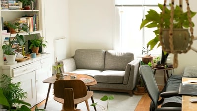 Let's read about 9 essential Feng Shui tips. (Unplash) Let's read about 9 essential Feng Shui tips. (Unplash)