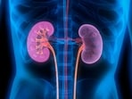 Signs of weak kidney, tips to prevent chronic kidney disease 