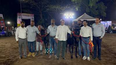 (From left) Shahshank Pawar, Keshav Joshi, Ranjeet Nagarkar, Ranjeet Pawar, Santosh Pawar, Sachin Jagtap and Ajay Nensee, seen with two ponies. (HT PHOTO) (From left) Shahshank Pawar, Keshav Joshi, Ranjeet Nagarkar, Ranjeet Pawar, Santosh Pawar, Sachin Jagtap and Ajay Nensee, seen with two ponies. (HT PHOTO)