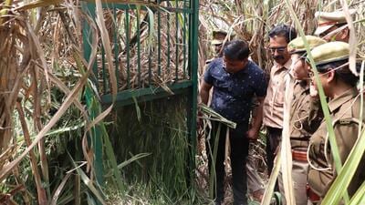 A cage has been installed by the forest department team n the sugarcane field in Noorpur village in Ghaziabad on Wednesday. (Sakib Ali/HT Photo) A cage has been installed by the forest department team n the sugarcane field in Noorpur village in Ghaziabad on Wednesday. (Sakib Ali/HT Photo)