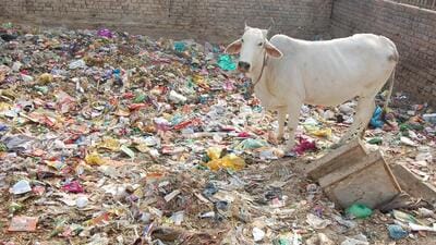 Haryana has been facing the twin challenge of dealing with the continuous flow of solid waste and the legacy waste which has resulted in garbage heaps at dumpsites. (HT Photo) Haryana has been facing the twin challenge of dealing with the continuous flow of solid waste and the legacy waste which has resulted in garbage heaps at dumpsites. (HT Photo)