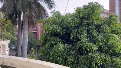 Delhi Rain: The image is taken from a video shared by a Twitter user. (Twitter/@pankaju17)