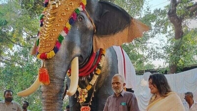 The 'robot elephant' cost ₹5 lakh. (PETA website) The 'robot elephant' cost ₹5 lakh. (PETA website)