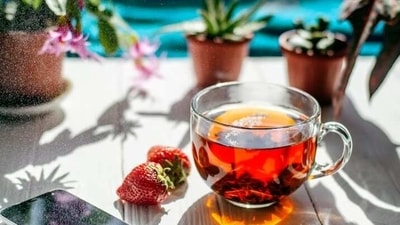 There are many tea options that have the goodness of antioxidants and natural herbs that can also help you lose weight and burn fat effectively. There are many tea options that have the goodness of antioxidants and natural herbs that can also help you lose weight and burn fat effectively.