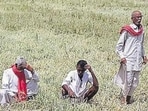 Above-normal temperatures along with heat wave conditions are expected in most parts of India during three months ending May 31, threatening to lower crop production and hurting the efforts to control food costs. (Representative Image) Above-normal temperatures along with heat wave conditions are expected in most parts of India during three months ending May 31, threatening to lower crop production and hurting the efforts to control food costs. (Representative Image)