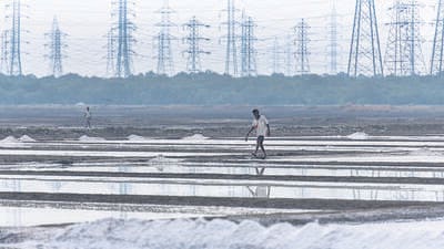 Mumbai, India - February 11, 2020: Salt pan workers at Wadala salt pans, Wadala, Mumbai, India, on February 11 2020. (Photo by Aalok Soni/ Hindustan Times) (Aalok Soni/HT PHOTO) Mumbai, India - February 11, 2020: Salt pan workers at Wadala salt pans, Wadala, Mumbai, India, on February 11 2020. (Photo by Aalok Soni/ Hindustan Times) (Aalok Soni/HT PHOTO)
