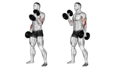 Hammer Curl: This exercise is similar to the barbell curl, but it uses a neutral grip. Start by standing with your feet shoulder-width apart and holding a pair of dumbbells with a neutral grip. Keeping your elbows close to your body, curl the dumbbells up until your forearms touch your biceps. Slowly lower the dumbbells back to the starting position. (pinterest)
