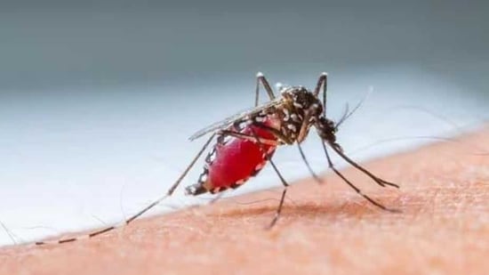 1. Malaria: Malaria is one of the most common and deadly diseases in India. It is caused by the Plasmodium parasite, which is transmitted by female Anopheles mosquitoes. The symptoms of malaria include fever, chills, sweating, headaches, muscle aches, and fatigue. Treatment for malaria includes antimalarial drugs and mosquito control measures.