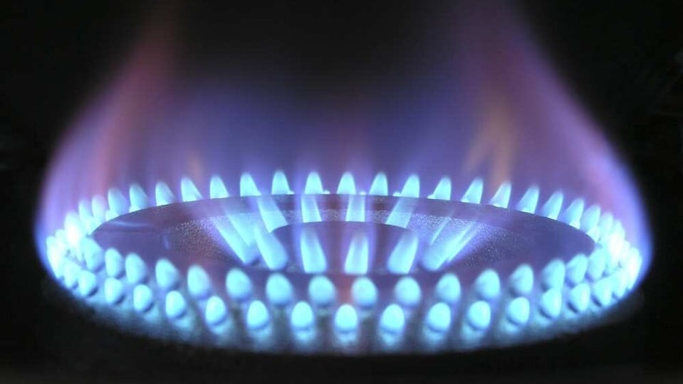 Top 10 Prestige 3 burner gas stoves: Buyer's guide