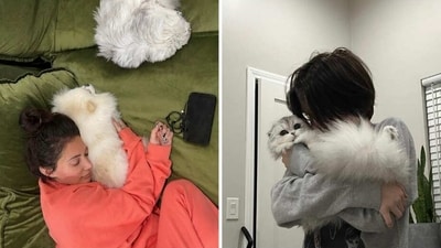 Francesca Farago and Jesse Sullivan with cute pets. Francesca Farago and Jesse Sullivan with cute pets.