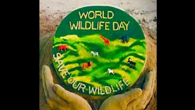 Around 50,000 wild species meet the needs of billions of people worldwide and one in 5 people around the world relies on wild species for income and food, according to the United Nations data. (File) (Twitter/@sudarsansand) Around 50,000 wild species meet the needs of billions of people worldwide and one in 5 people around the world relies on wild species for income and food, according to the United Nations data. (File) (Twitter/@sudarsansand)