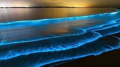 Malvan Beach, Maharashtra: This beach in the Sindhudurg district of Maharashtra is famous for its beautiful sunsets and bioluminescent waters. Take a boat ride at night to see the sea light up with a beautiful blue-green glow.&nbsp; (Representative Image (Pinterest))