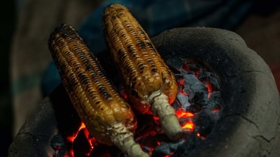 Respiratory problems: Burning foods can release harmful smoke and fumes, which can irritate the respiratory system and cause breathing problems. (Unsplash) Respiratory problems: Burning foods can release harmful smoke and fumes, which can irritate the respiratory system and cause breathing problems. (Unsplash)